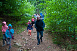 borowice_17.06.2017-4